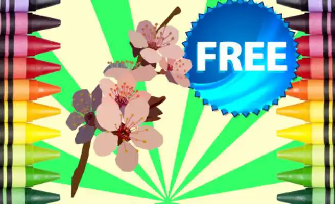 Play Coloring Book Flowers