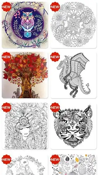 Play Coloring Book Free  and enjoy Coloring Book Free with UptoPlay