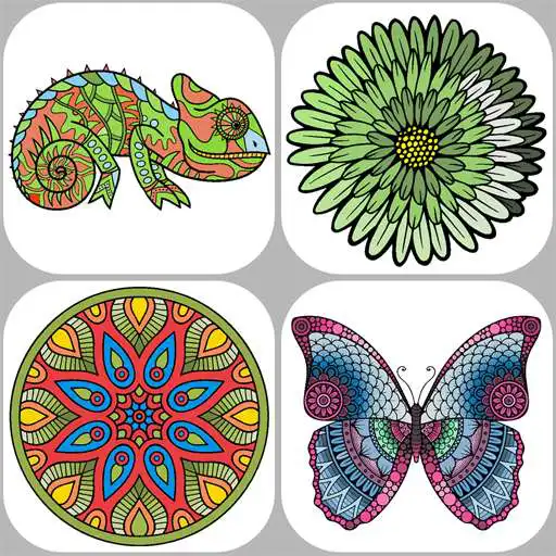 Run free android online Coloring Books for Adults APK