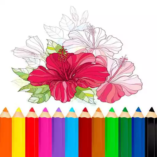 Play Coloring Flower APK