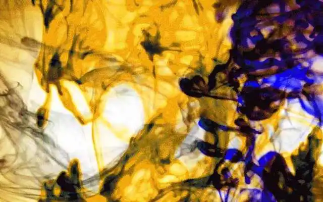 Play Color Ink In Water