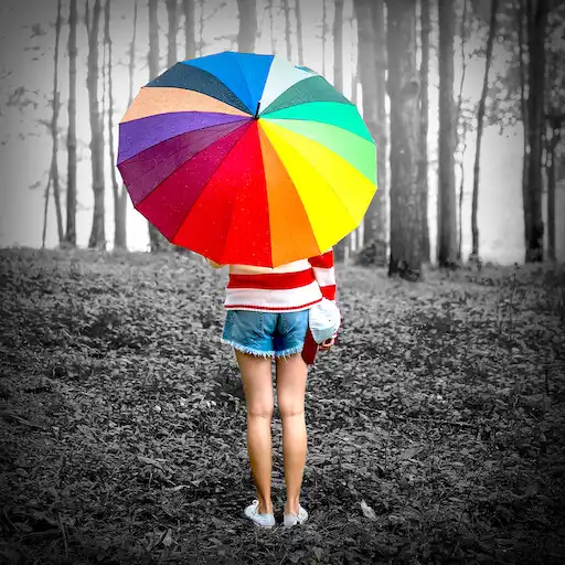 Play Colorize - color changer APK