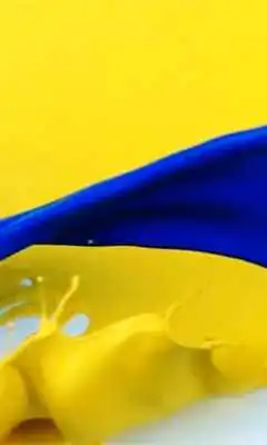 Play Color of Ukraine Live