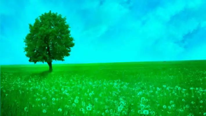 Play Color Photo Effect