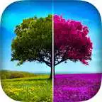 Free play online Color Recolor  APK