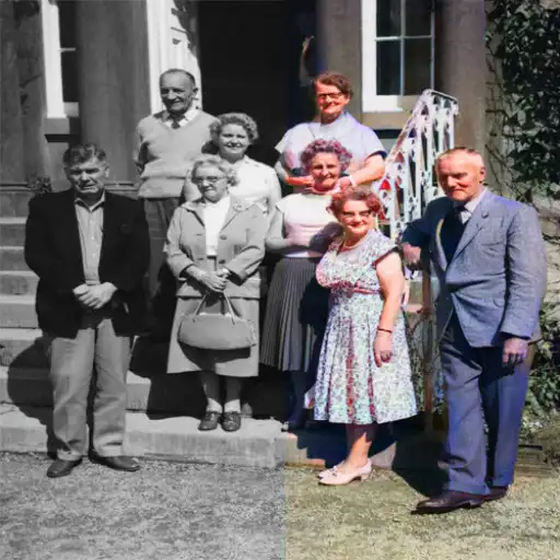 Play Colorrr - AI Color Old Photos APK