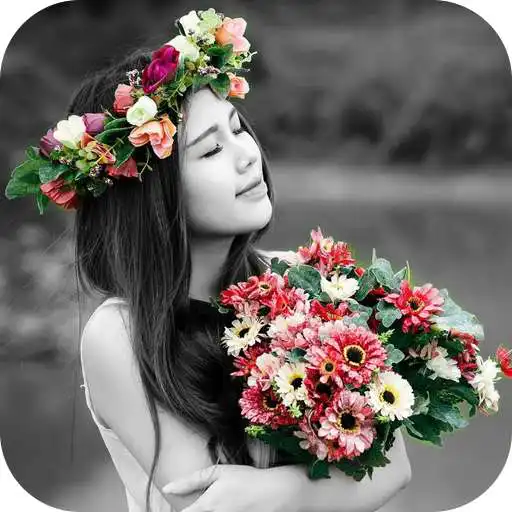 Play Color Splash Effect APK Play Color Splash Effect APK