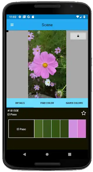 Play ColorTopia  and enjoy ColorTopia with UptoPlay