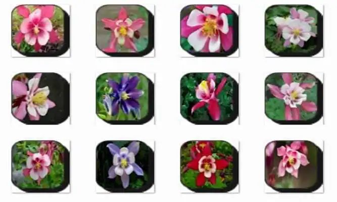 Play Columbine Flowers Onet Game