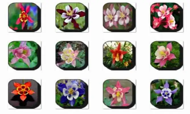 Play Columbine Flowers Onet Game