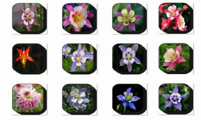 Play Columbine Flowers Onet Game
