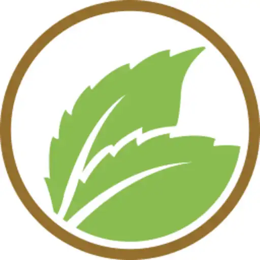 Play Comanda SPICE APK