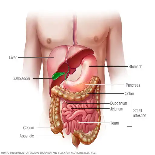 Play com.colonandstomach.alshujiry APK