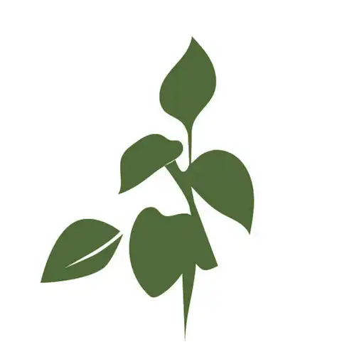 Play Comercial Mida APK