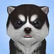 Free play online com.maltd.puppysimulator 3.3.97 APK Free play online com.maltd.puppysimulator 3.3.97 APK
