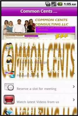 Play Common Cents Consulting LLC