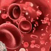 Free play online Common Health Problems APK