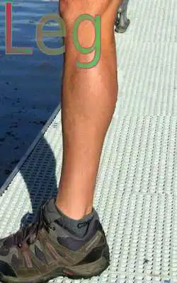 Play Common Word Endings 1 FREE