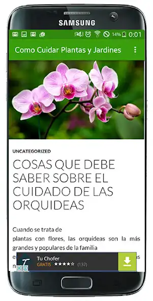 Play Como Cuidar Plantas/Jardines as an online game Como Cuidar Plantas/Jardines with UptoPlay