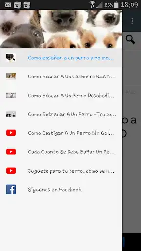 Play Como educar a un cachorro  and enjoy Como educar a un cachorro with UptoPlay