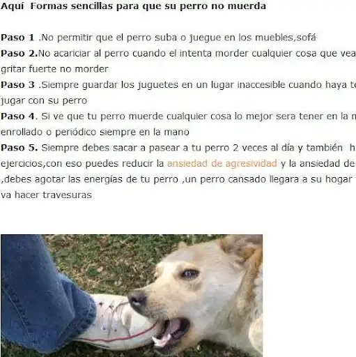 Play Como educar a un cachorro as an online game Como educar a un cachorro with UptoPlay