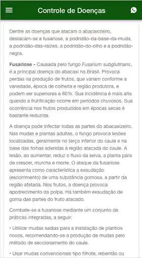 Play Como Plantar Abacaxi as an online game Como Plantar Abacaxi with UptoPlay