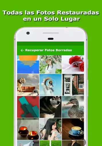 Play Como recuperar Fotos Borradas as an online game Como recuperar Fotos Borradas with UptoPlay