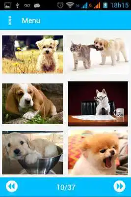 Play Compartilhar Imagens
