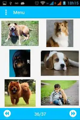 Play Compartilhar Imagens