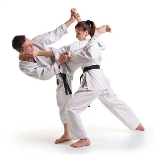 Play Complete Martial Technique APK Play Complete Martial Technique APK