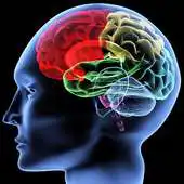 Free play online Concussion Injuries APK Free play online Concussion Injuries APK