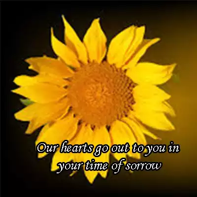 Play Condolences messages  and enjoy Condolences messages with UptoPlay