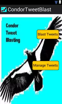 Play Condor Tweet Blaster (Pro)