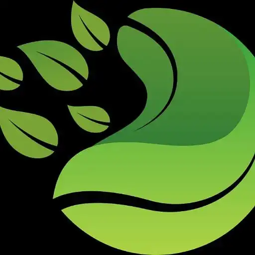 Play Conexiones de Reinos APK