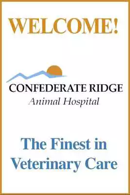 Play Confederate Ridge AH