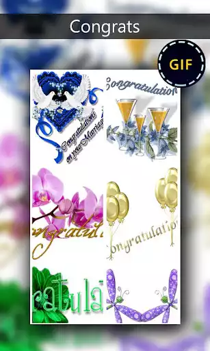 Play Congratulation GIF  and enjoy Congratulation GIF with UptoPlay