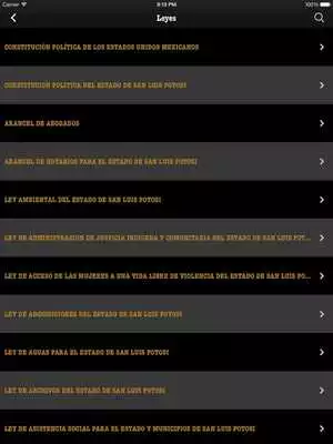 Play Congreso del Estado S. L. P.