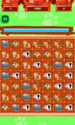 Play Connect Animal game free