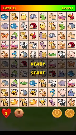 Play Connect Animal