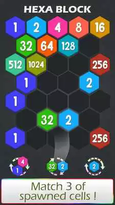 Play Connect - Hexa Puzzle