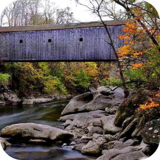 Play Connecticut Local News APK Play Connecticut Local News APK