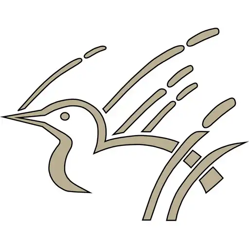 Play Connect Marshfield APK