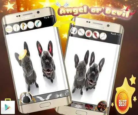 Play Connect Pet