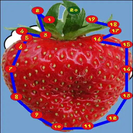 Free play online Connect the dots - Collection  APK