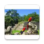 Free play online Conoce Honduras APK Free play online Conoce Honduras APK