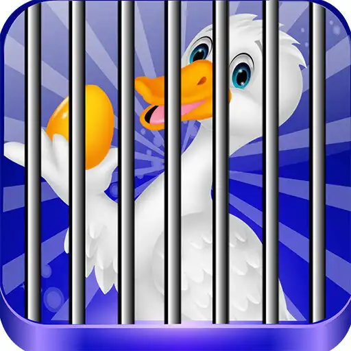 Play Conquest Duck Escape APK Play Conquest Duck Escape APK