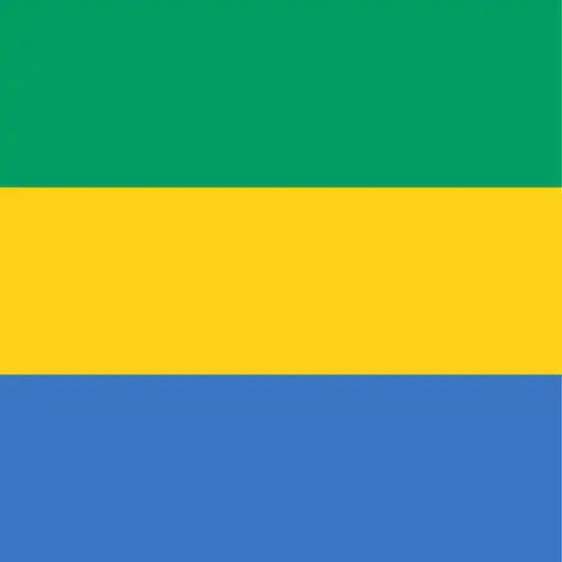 Play Constitution of Gabon APK Play Constitution of Gabon APK