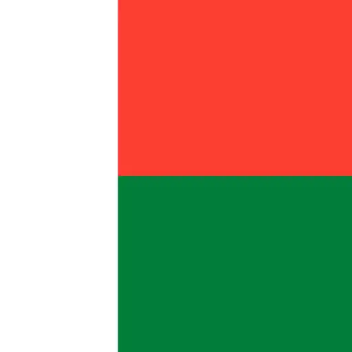 Play Constitution of Madagascar APK Play Constitution of Madagascar APK