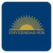 Free play online Consulta NUR APK