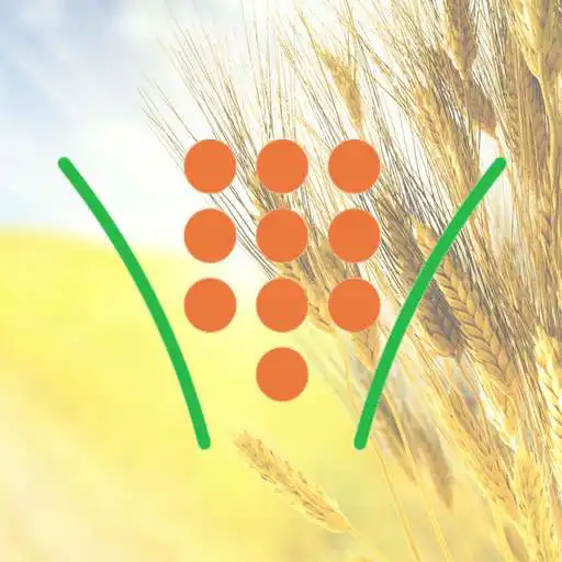 Play Consultas Zanoy S.A. APK